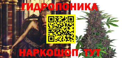 стафф Брянск