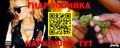 стафф Брянск