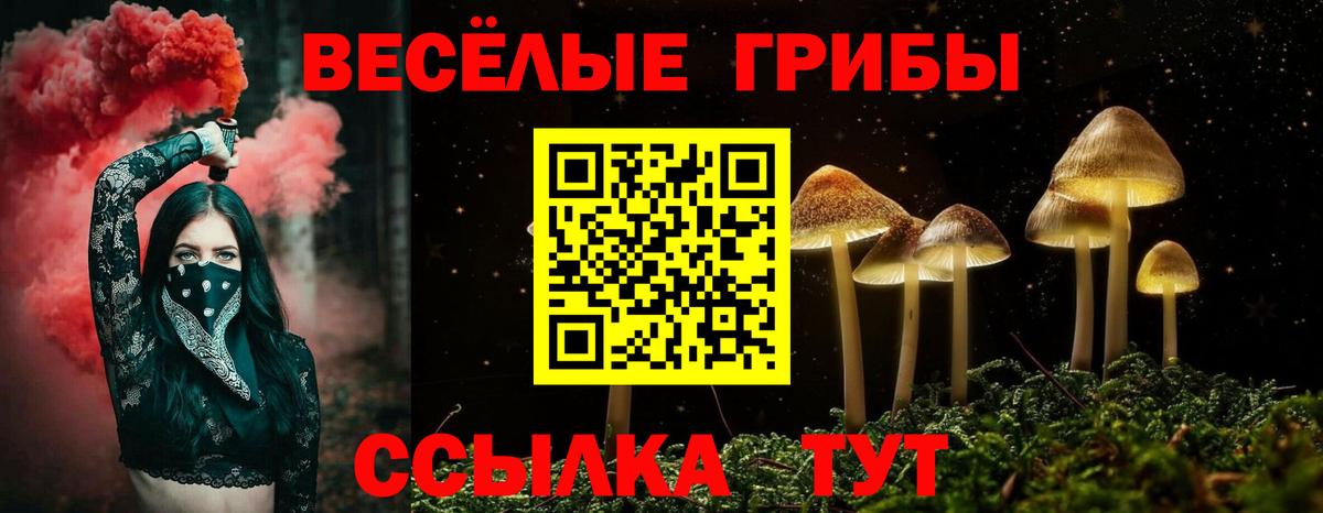 Псилоцибиновые грибы GOLDEN TEACHER  Вход с VPN  Северодвинск  Галлюциногенные грибы мицелий 